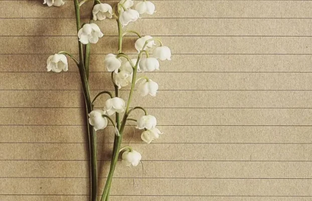 عبارات انگلیسی