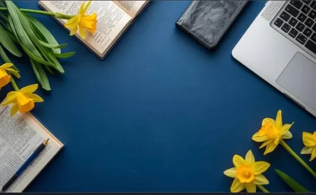 اصطلاحات انگلیسی را به سه دسته تقسیم میکنیم